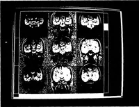 Picture 11 of 27 from Three-Dimensional Computer Graphics Brain-Mapping Project (1988), leaf 92