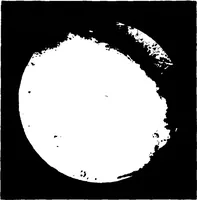 An illustration from Real-Time Optical Image Processing Techniques (1988)