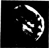An illustration from Real-Time Optical Image Processing Techniques (1988)