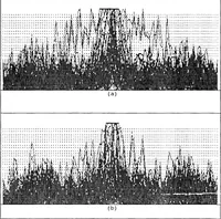 An illustration from Hybrid Optical/Digital Architecture for Distortion Invariant Pattern Recognition (1989)