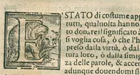 An illustration from Il mostruosissimo mostro. Di Giovanni de' Rinaldi, diviso in due Trattati, nel primo de' quali si ragiona del significato de' colori, nel secondo si tratta dell'herbe, et fiori (1584)