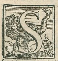 An illustration from Il mostruosissimo mostro. Di Giovanni de' Rinaldi, diviso in due Trattati, nel primo de' quali si ragiona del significato de' colori, nel secondo si tratta dell'herbe, et fiori (1584)