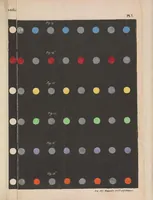 An illustration from De la loi du contraste simultané des couleurs : et de l'assortiment des objets colorés, considéré d'après cette loi dans ses rapports avec la peinture, les tapisseries des Gobelins, les tapisseries de Beauvais pour meubles, les tapis, la mosaïque, les vitraux colorés, l'impression des étoffes, l'imprimerie, l'enluminure, la décoration des édifices, l'habillement et l'horticulture (1839)