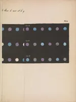 Picture 5 of 7 from De la loi du contraste simultané des couleurs : et de l'assortiment des objets colorés, considéré d'après cette loi dans ses rapports avec la peinture, les tapisseries des Gobelins, les tapisseries de Beauvais pour meubles, les tapis, la mosaïque, les vitraux colorés, l'impression des étoffes, l'imprimerie, l'enluminure, la décoration des édifices, l'habillement et l'horticulture (1839), leaf 55