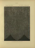 Picture 5 of 7 from La dentelle russe : histoire technique statistique (1895), leaf 164