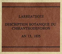 Picture 1 of 3 from Description botanique du Chiranthodendron : arbre du Mexique, nouvellement connu, et remarquable par son aspect et sa beauté (1805), leaf 1