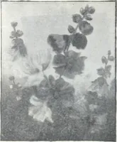 An illustration from Descriptive catalogue 1914 : Frost & Adams Co. importers and dealers in artists' materials, architects', engineers' draughtsmen's supplies, mathematical instruments and pyrography requisites. (1914)