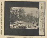Picture 10 of 18 from Diapositifs sur verre pour projections. Photographies et Microphotographies (1912), leaf 113