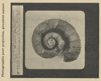 Picture 7 of 18 from Diapositifs sur verre pour projections. Photographies et Microphotographies (1912), leaf 78