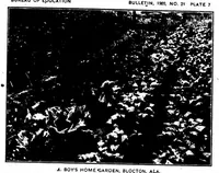 An illustration from ERIC ED543386: Schools in the Bituminous Coal Regions of the Appalachian Mountains. Bulletin, 1920, No. 21 (1920)