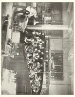 Picture 4 of 4 from ERIC ED619960: Report of the Commissioner of Education for the Year 1903. Volume 1 (1905), leaf 1150