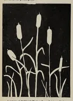 Picture 2 of 7 from ERIC ED622658: Teachers Magazine. [Volumes XXVII-XXVIII] (1906), leaf 261
