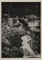 An illustration from ERIC ED622659: Teachers Magazine. Volume XXIX (1907)
