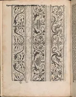 An illustration from Modelbuch aller art nehens und stickens (1535)