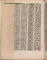 Picture 6 of 17 from Modelbuch aller art nehens und stickens (1535), leaf 12