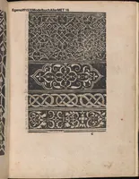 Picture 8 of 17 from Modelbuch aller art nehens und stickens (1535), leaf 15