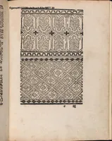 Picture 10 of 17 from Modelbuch aller art nehens und stickens (1535), leaf 19