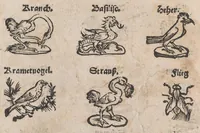 Picture 15 of 17 from Modelbuch aller art nehens und stickens (1535), leaf 24