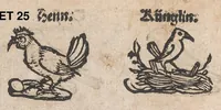 Picture 16 of 17 from Modelbuch aller art nehens und stickens (1535), leaf 24