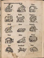 Picture 17 of 17 from Modelbuch aller art nehens und stickens (1535), leaf 25
