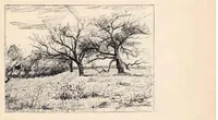 An illustration from Eighth Annual Exhibition of the Paint and Clay Club (1889)
