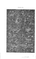 Picture 4 of 4 from Embroidery; or, The craft of the needle (1899), leaf 220