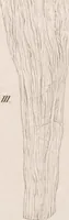 An illustration from Erläuterungstafeln zur vergleichenden Anatomie (1826)