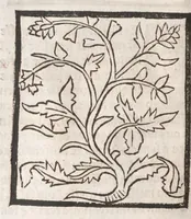 An illustration from [Arbolayre :] Le grant herbier en françois