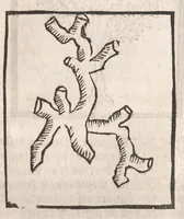 Picture 21 of 73 from [Arbolayre :] Le grant herbier en françois, leaf 128