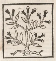 An illustration from [Arbolayre :] Le grant herbier en françois