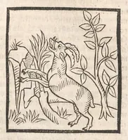An illustration from [Arbolayre :] Le grant herbier en françois