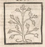 Picture 72 of 73 from [Arbolayre :] Le grant herbier en françois, leaf 339