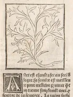 Picture 3 of 73 from [Arbolayre :] Le grant herbier en françois, leaf 64