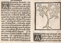 An illustration from [Arbolayre :] Le grant herbier en françois
