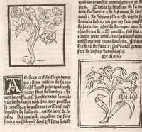Picture 10 of 73 from [Arbolayre :] Le grant herbier en françois, leaf 83