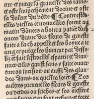An illustration from Arbolayre contenant la qualitey et virtus, proprietey des herbes, arbres, gommes et semences…