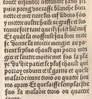 An illustration from Arbolayre contenant la qualitey et virtus, proprietey des herbes, arbres, gommes et semences…