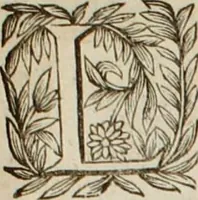 An illustration from Au roy et à nosseigneurs de son conseil, Sire, Jean Bourgoin (1629)