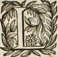An illustration from Au roy et à nosseigneurs de son conseil, Sire, Jean Bourgoin (1629)