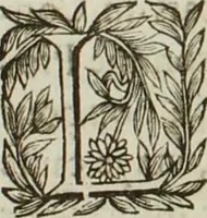 Picture 4 of 6 from Au roy et à nosseigneurs de son conseil, Sire, Jean Bourgoin (1629), leaf 30