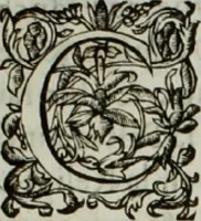 Picture 5 of 7 from Au Roy, pour les pauvres Religieuses, Abbesse et Convent de Nostre-Dame de l'Humilité de Lonchamp [sic] [Suivi de: Epitaphe de Madame Blanche Extraict des registres du Conseil d'Estat sur ce qui a esté représenté au Roy par les Religieuses, Abbesse et Convent de la Maison de Lonchamp.] [1661] (1662), leaf 10