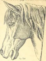 An illustration from Fabrique d'ornements en zinc : cuivre, plomb, tole, pour le batiment : execution d'apres dessins (1910)