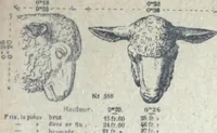 An illustration from Fabrique d'ornements en zinc : cuivre, plomb, tole, pour le batiment : execution d'apres dessins (1910)
