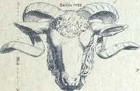 An illustration from Fabrique d'ornements en zinc : cuivre, plomb, tole, pour le batiment : execution d'apres dessins (1910)