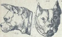 An illustration from Fabrique d'ornements en zinc : cuivre, plomb, tole, pour le batiment : execution d'apres dessins (1910)