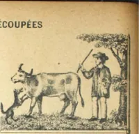 An illustration from Fabrique d'ornements en zinc : cuivre, plomb, tole, pour le batiment : execution d'apres dessins (1910)