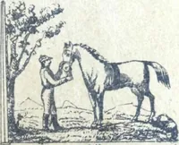 An illustration from Fabrique d'ornements en zinc : cuivre, plomb, tole, pour le batiment : execution d'apres dessins (1910)