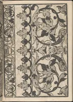An illustration from Splendore delle virtuose giouani doue si contengono molte,varie mostre fogliami. Cioe punti in aere, et punti tagliati, bellissimi,... (1564)