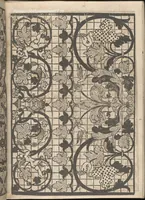 Picture 16 of 18 from Splendore delle virtuose giouani doue si contengono molte,varie mostre fogliami. Cioe punti in aere, et punti tagliati, bellissimi,... (1564), leaf 27