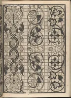 Picture 18 of 18 from Splendore delle virtuose giouani doue si contengono molte,varie mostre fogliami. Cioe punti in aere, et punti tagliati, bellissimi,... (1564), leaf 30